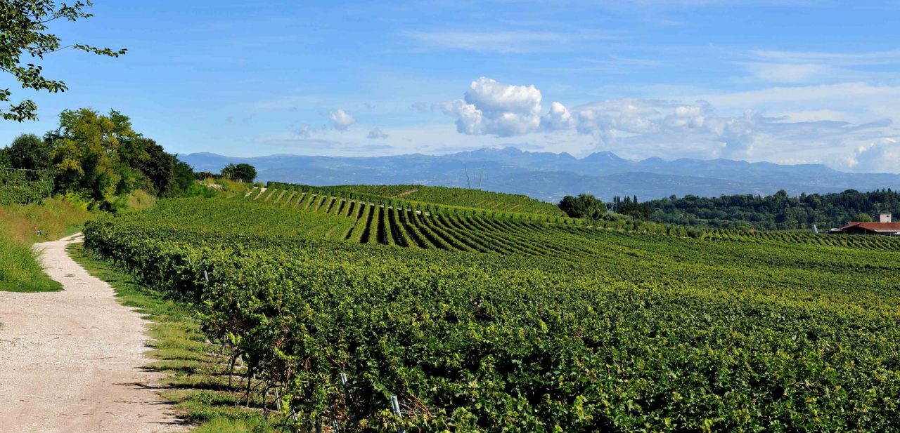 Giornate Fai di primavera ecco gli itinerari veronesi