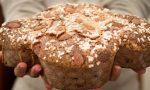 "Con una colomba doni la vita" l'appello di Fidas