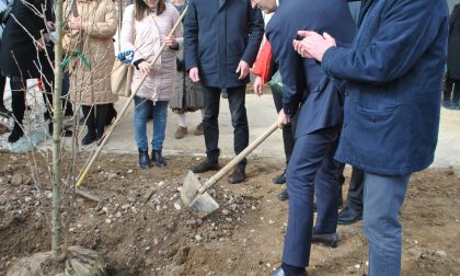 Patto di sussidiarietà, il Comune e l'università insieme per l'ambiente