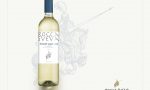 Cantina di Soave presenta il nuovo pinot grigio