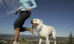 Sport e divertimento per gli amici a 4 zampe