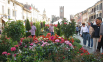 Villafranca in fiore torna anche questa primavera