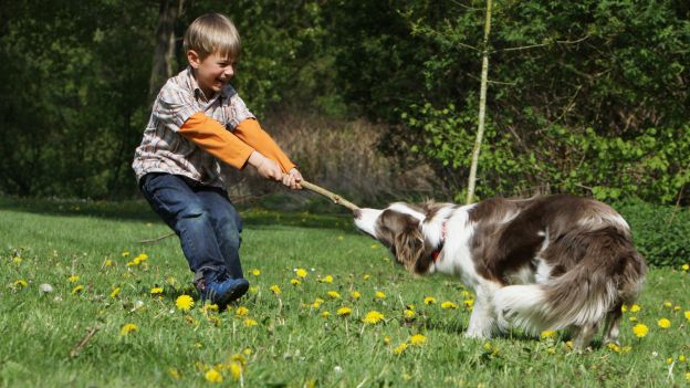 Cani e bambini come approcciarsi con il proprio amico a quattro zampe