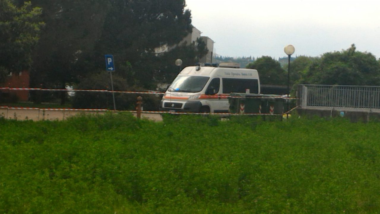 spray urticante scuola bussolengo