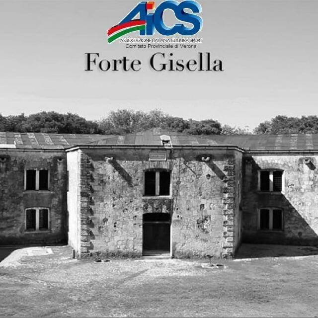 Costruisci la tua sedia