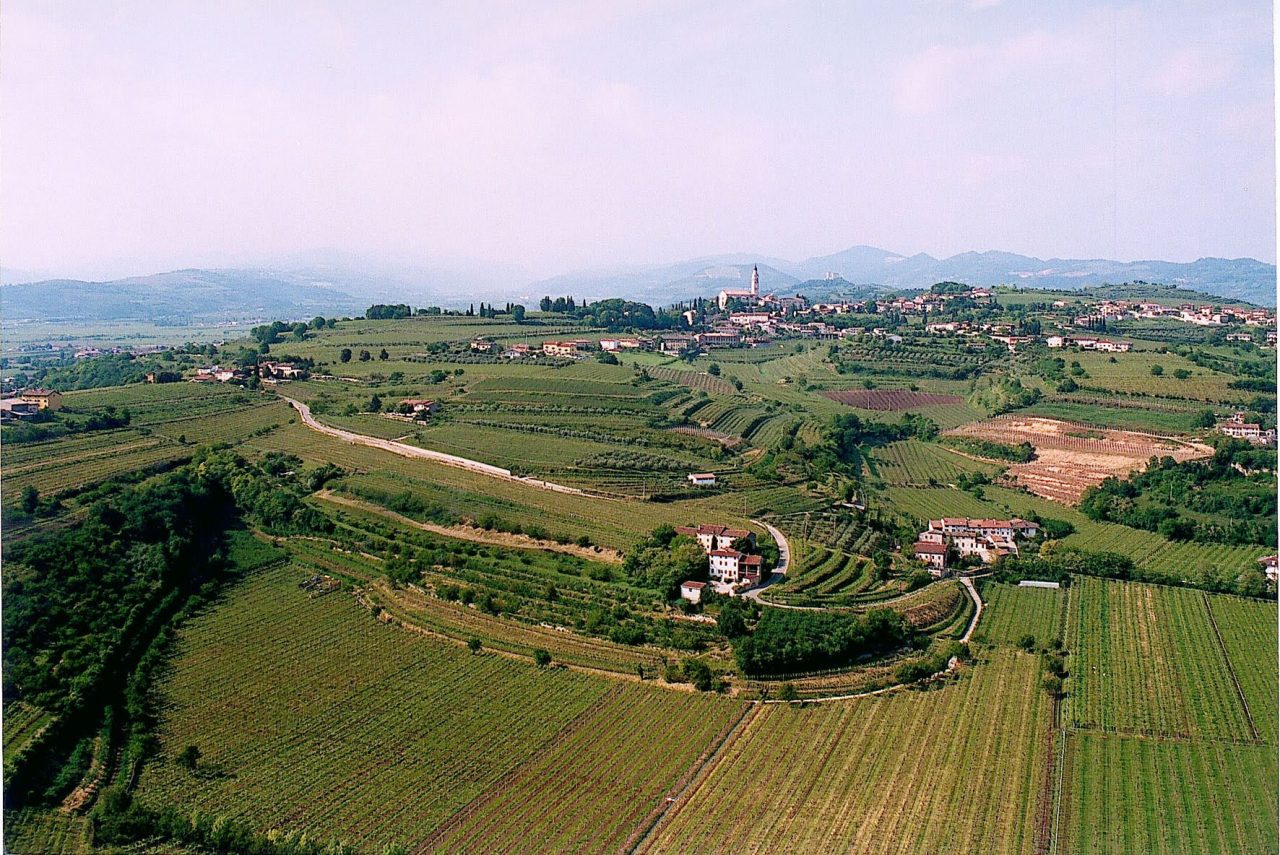 Su e giù per i colli di Colognola