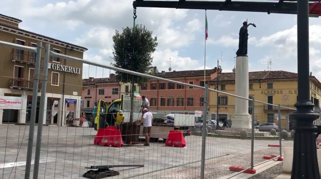 Piazza di Villafranca la posa degli alberi VIDEO