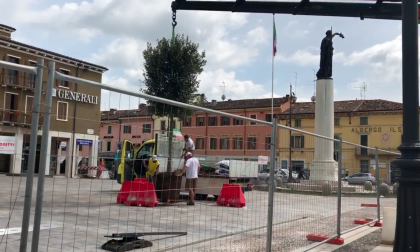 Piazza di Villafranca la posa degli alberi VIDEO