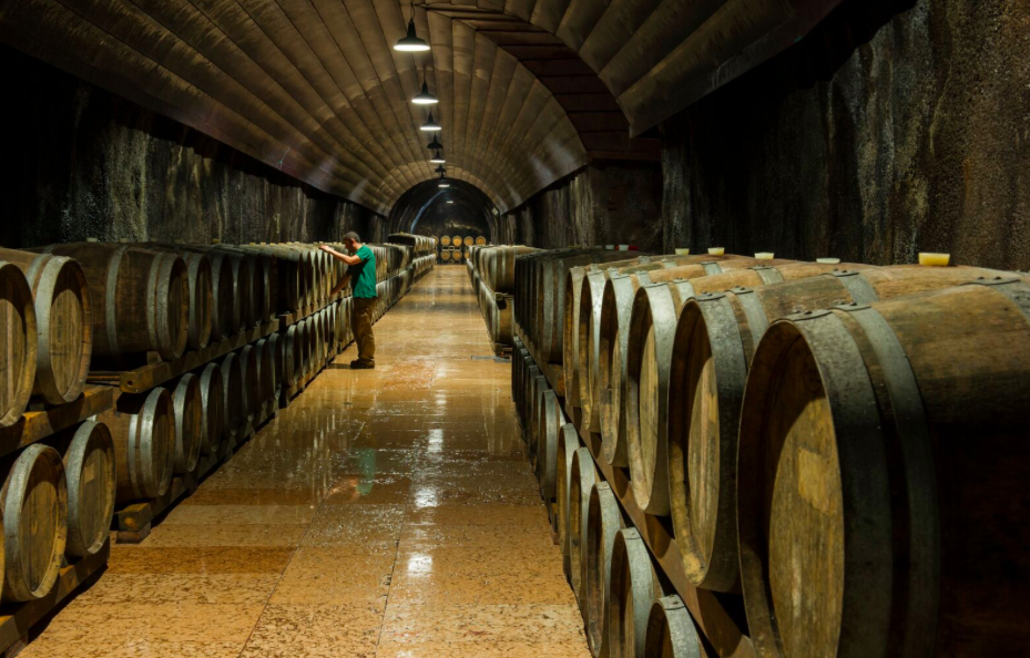 Concorso Decanter 2018 Best in show all’Amarone e platino al Ripasso