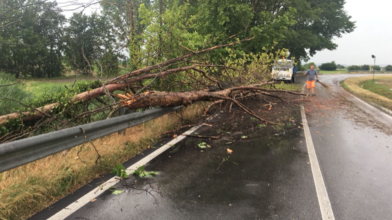 Temporale a Povegliano chiusa una strada