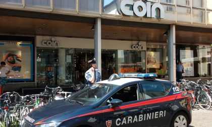 Coin di Verona subisce due furti nello stesso giorno