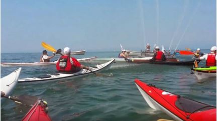 Aido in kayak oggi sulla sponda veronese