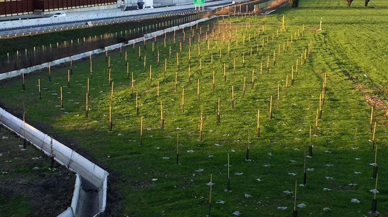 Un’area verde a Caselle per la mitigazione ambientale