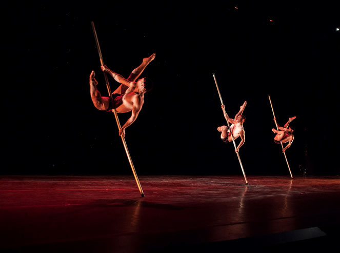 Momix a Verona