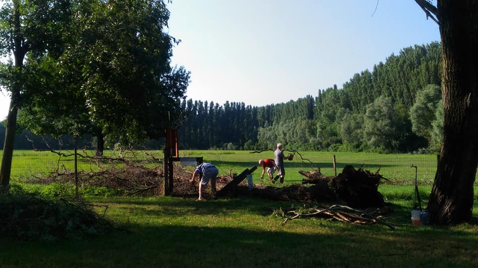 Valle del Menago perde un Salice a causa del temporale
