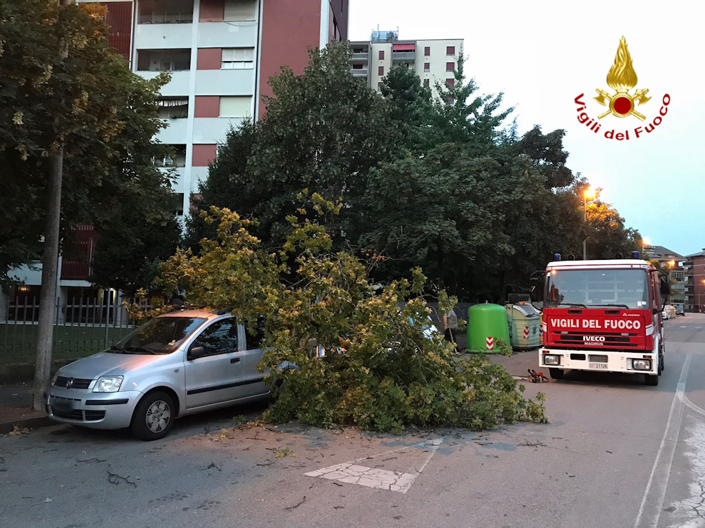 Danni del maltempo. I vigili del fuoco attivi sul territorio per mettere in sicurezza le varie situazioni.