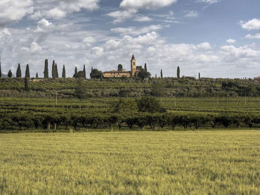 Madonna del Monte luogo del cuore più votato in Veneto