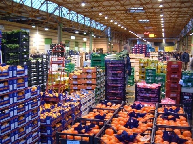 “Accordo col Canada per il bene dell’agricoltura veronese”