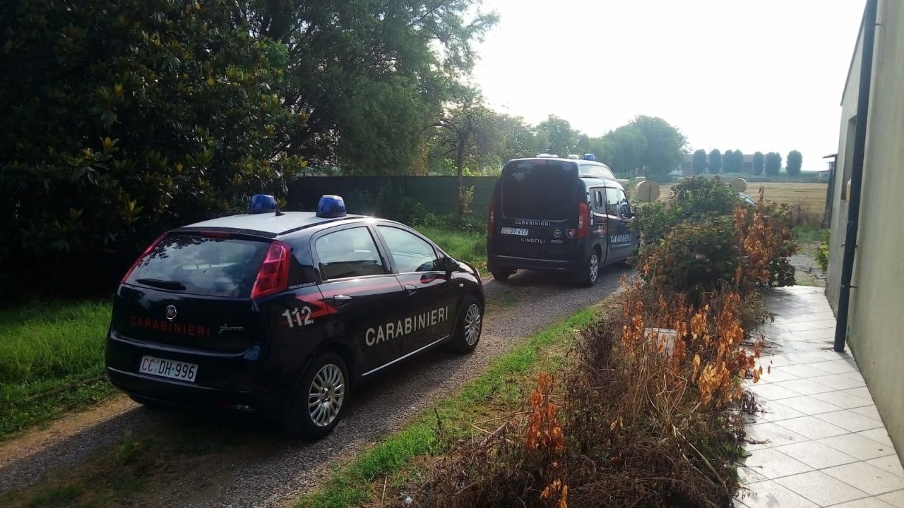 Coltivavano cannabis in casa arrestati due italiani a Bonavigo