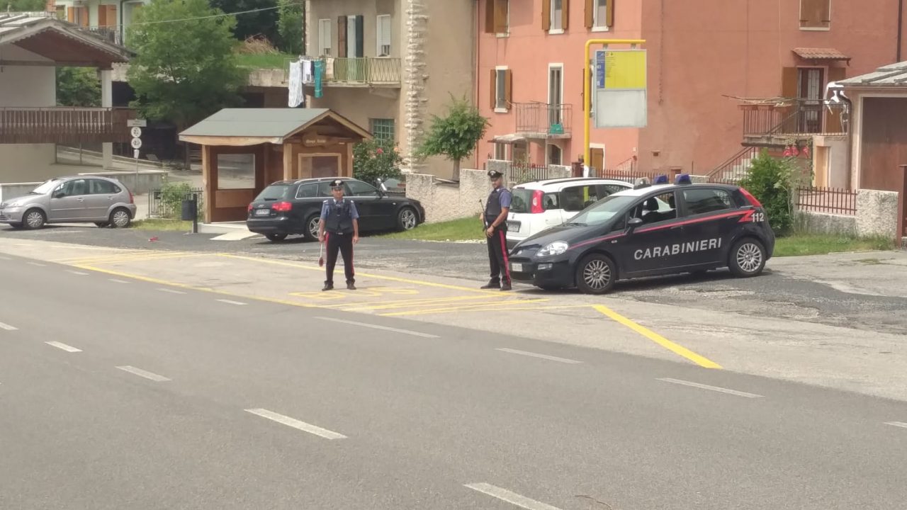 Tentato furto di legna