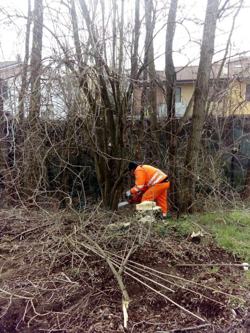 Interventi forestali nel veronese. Bottacin, “Cantieri diffusi per salvaguardia e sicurezza del territorio”.