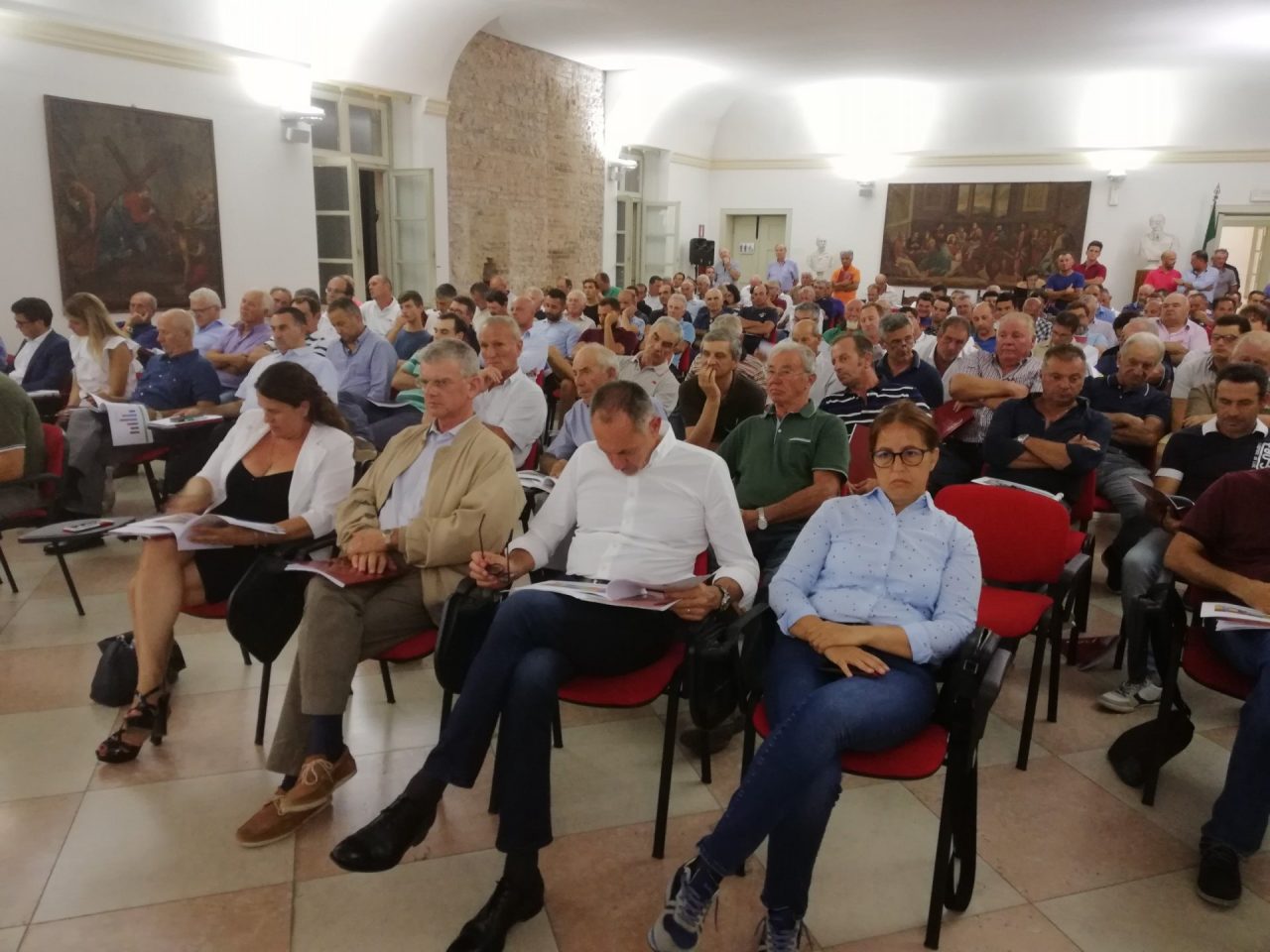 Annata ottima per la qualità e quantità di mele e pere falcidiate dalla cimice asiatica