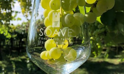 Soave Versus tante le novità per l'edizione 2018