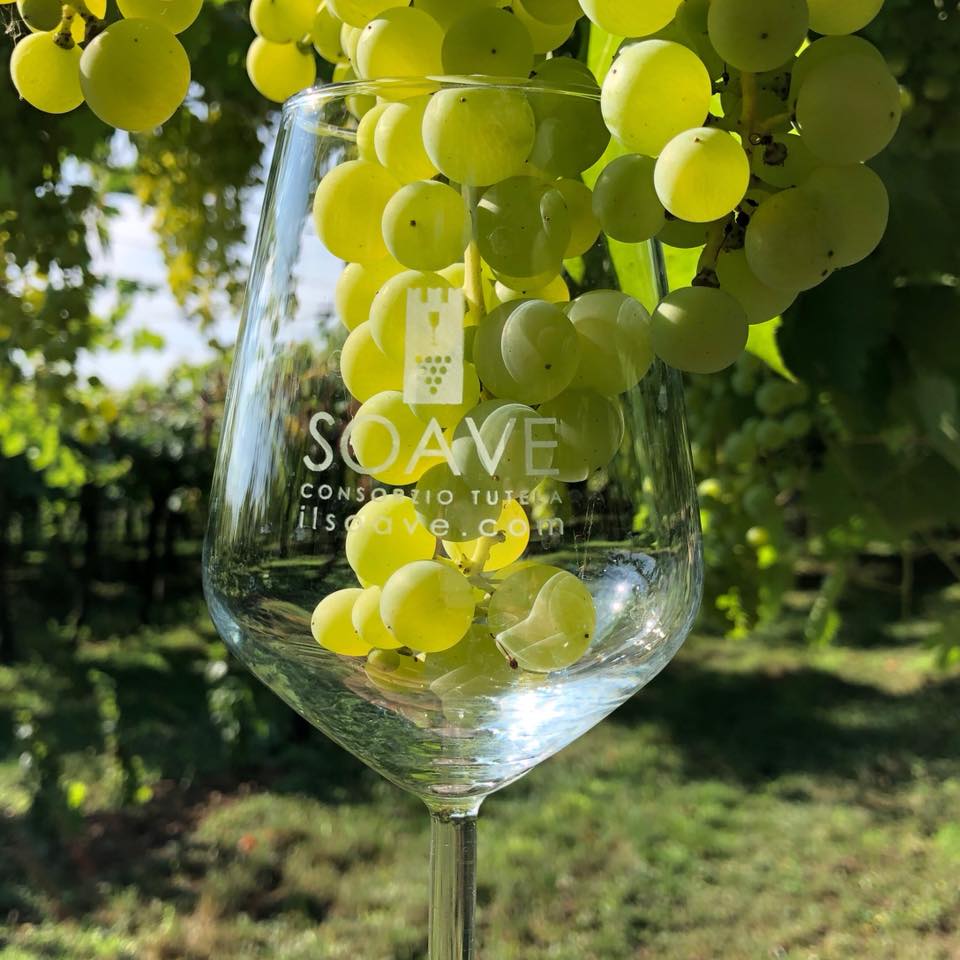 Soave Versus tante le novità per l’edizione 2018