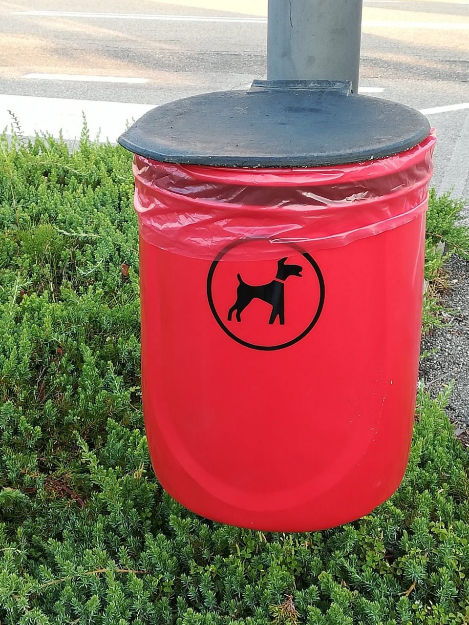 Posati cinque contenitori per le deiezioni canine a Villa Bartolomea