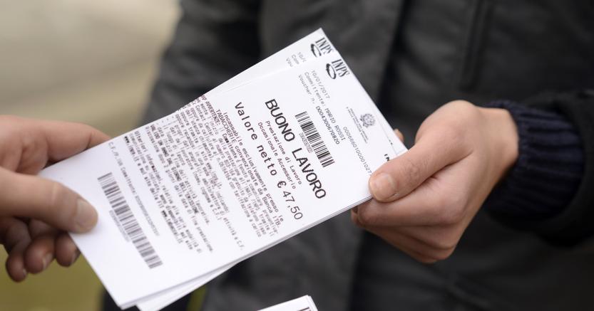 I nuovi voucher non piacciono alle aziende agricole veronesi