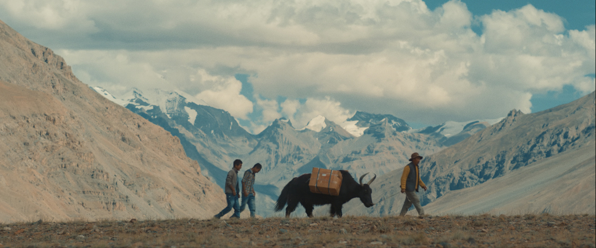 Film Festival della Lessinia: dalle terre alte, lungo i fiumi, dentro le foreste