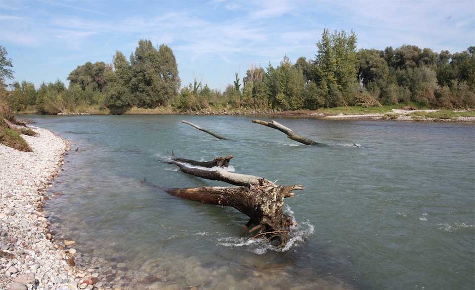 Sistemati gli argini dell’Adige fino a Zevio