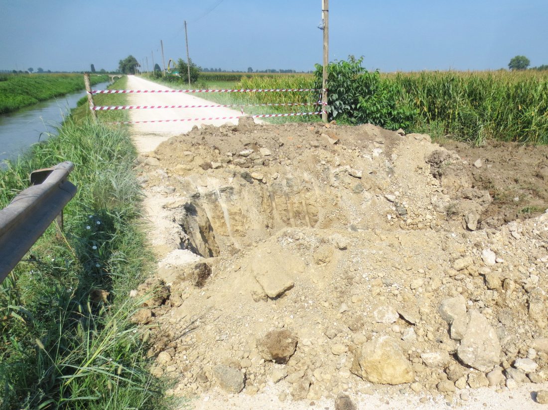 Frana una strada a causa delle nutrie