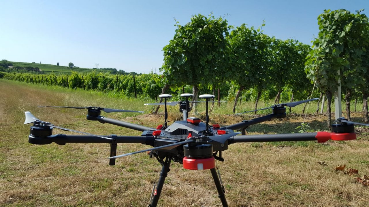 A Verona debuttano i droni nella vendemmia
