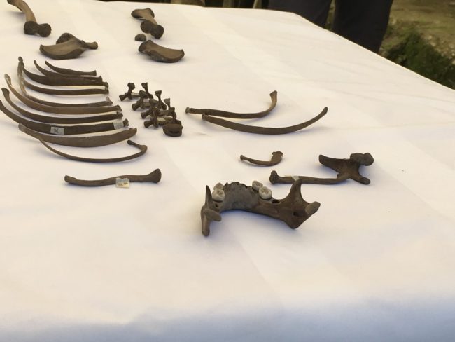 Ritrovamenti sul lago di Garda: un bambino di 4000 anni fa