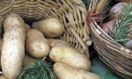 Patate, la siccità del Nord Europa fa salire i prezzi