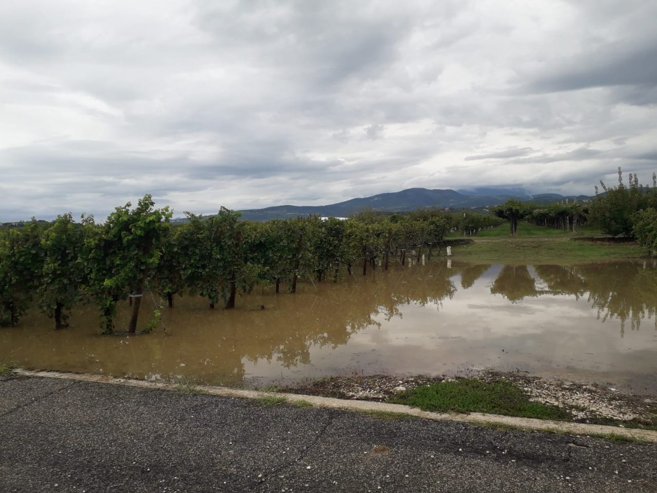 Maltempo: bomba d'acqua che ha devastato diversi Comuni. Zaia: "Danni ingenti, martoriato il distretto del vino della Valpolicella".