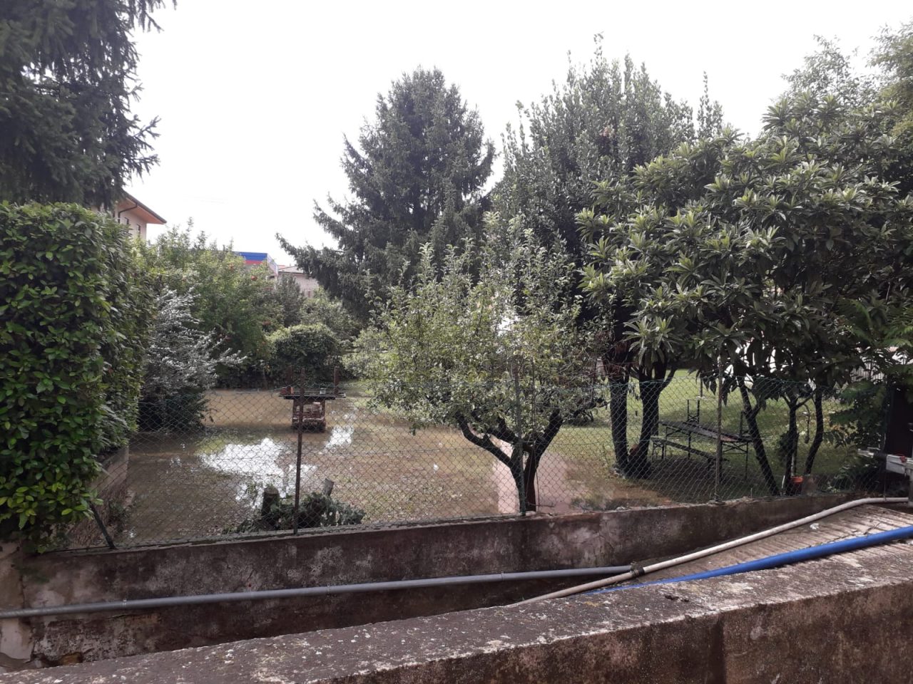 Maltempo: bomba d'acqua che ha devastato diversi Comuni. Zaia: "Danni ingenti, martoriato il distretto del vino della Valpolicella".