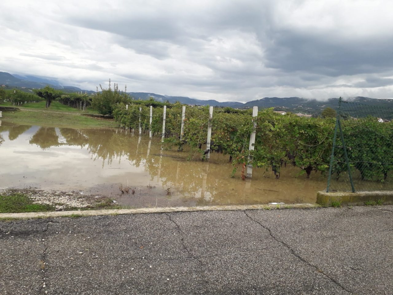 Maltempo: bomba d'acqua che ha devastato diversi Comuni. Zaia: "Danni ingenti, martoriato il distretto del vino della Valpolicella".