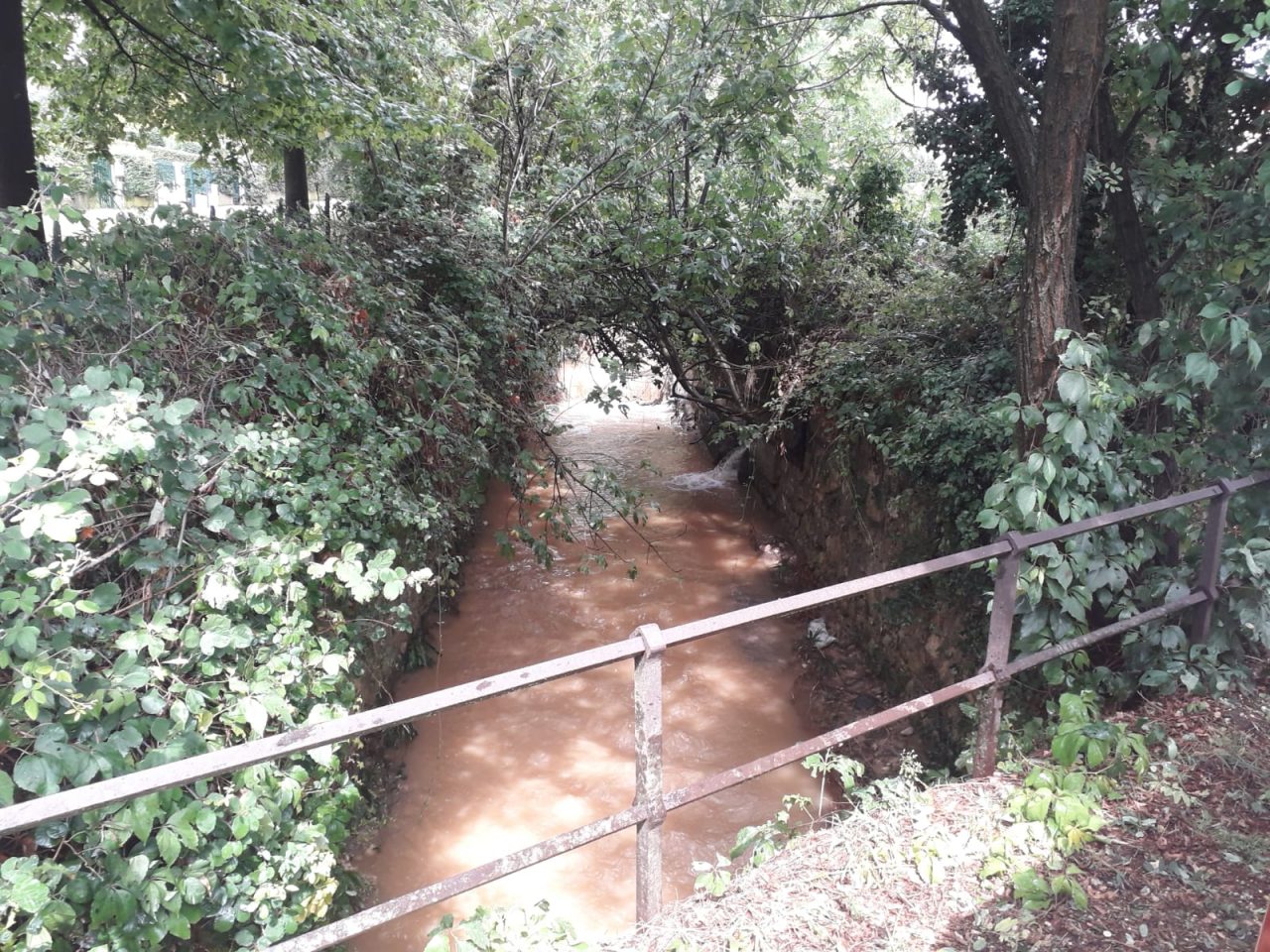 Maltempo: bomba d'acqua che ha devastato diversi Comuni. Zaia: "Danni ingenti, martoriato il distretto del vino della Valpolicella".