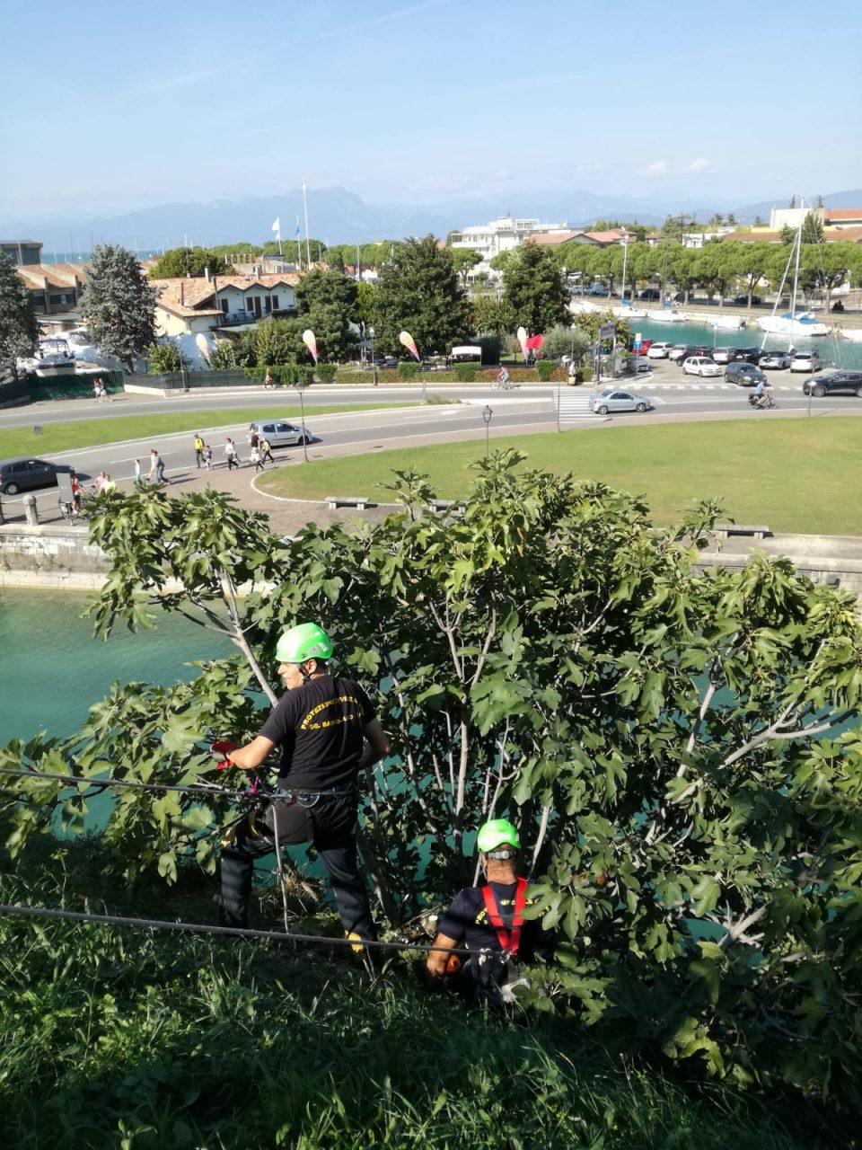 Muniti di caschetti e attrezzi, gli uomini della Protezione Civile di Peschiera del Garda hanno tagliato i rami che si sono insediati nelle mura veneziane.