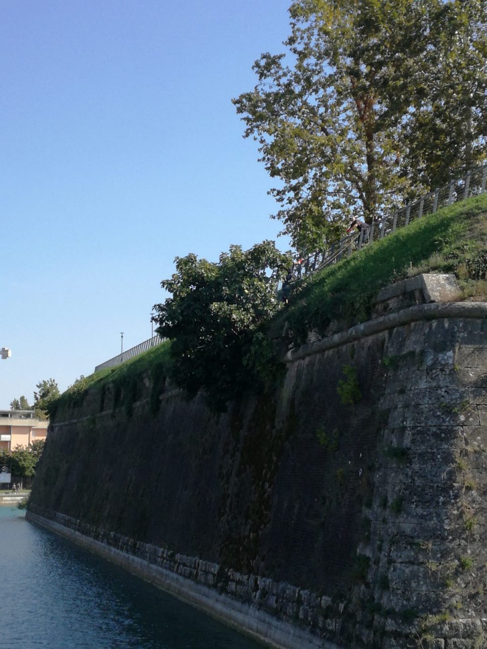Muniti di caschetti e attrezzi, gli uomini della Protezione Civile di Peschiera del Garda hanno tagliato i rami che si sono insediati nelle mura veneziane.