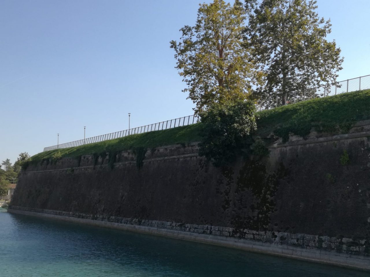 Muniti di caschetti e attrezzi, gli uomini della Protezione Civile di Peschiera del Garda hanno tagliato i rami che si sono insediati nelle mura veneziane.