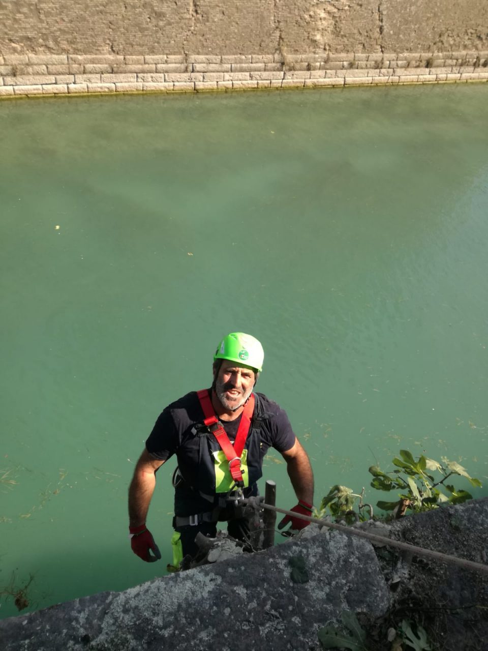 Muniti di caschetti e attrezzi, gli uomini della Protezione Civile di Peschiera del Garda hanno tagliato i rami che si sono insediati nelle mura veneziane.