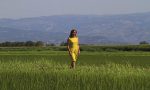 La polenta di Vialone nano di Roberta Gazzani premiata al Sana di Bologna