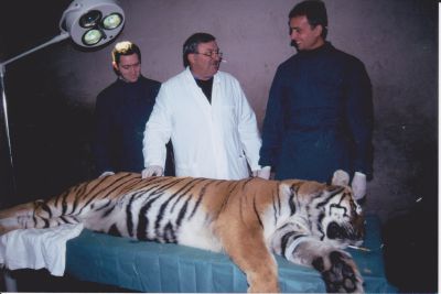 Alessandro Salvelli, una vita per gli animali
