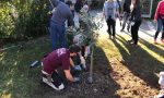 Festa degli alberi negata a Garda