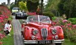 La Mille Miglia 2019 farà tappa al Giardino Sigurtà