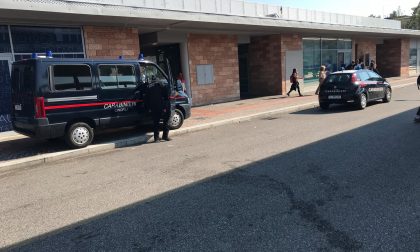 Cani antidroga sui bus veronesi, maxi operazione dei carabinieri contro lo spaccio