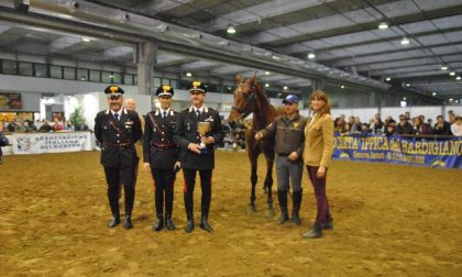 Grande successo per i cavalli maremmani dei carabinieri